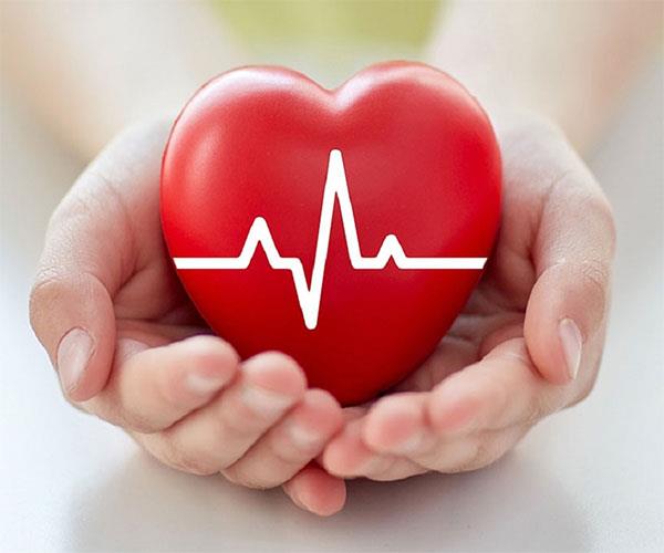 Heart Wellness Health Package